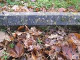 image of grave number 291643